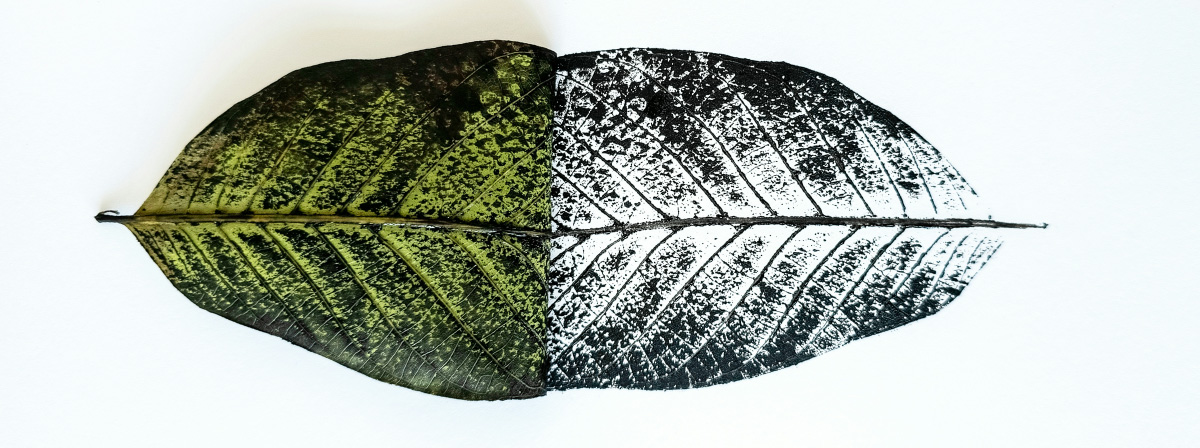 Folha vista de cima, com um lado verde e o outro em preto e branco, simbolizando a tensão entre natureza orgânica e tratamento artificial.